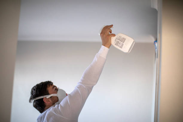 Professional Mold Removal in South Padre Island, TX